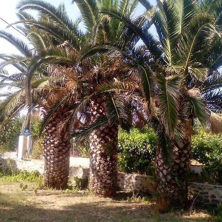 Guesthouse Karidia Skala Eresou Ngoại thất bức ảnh